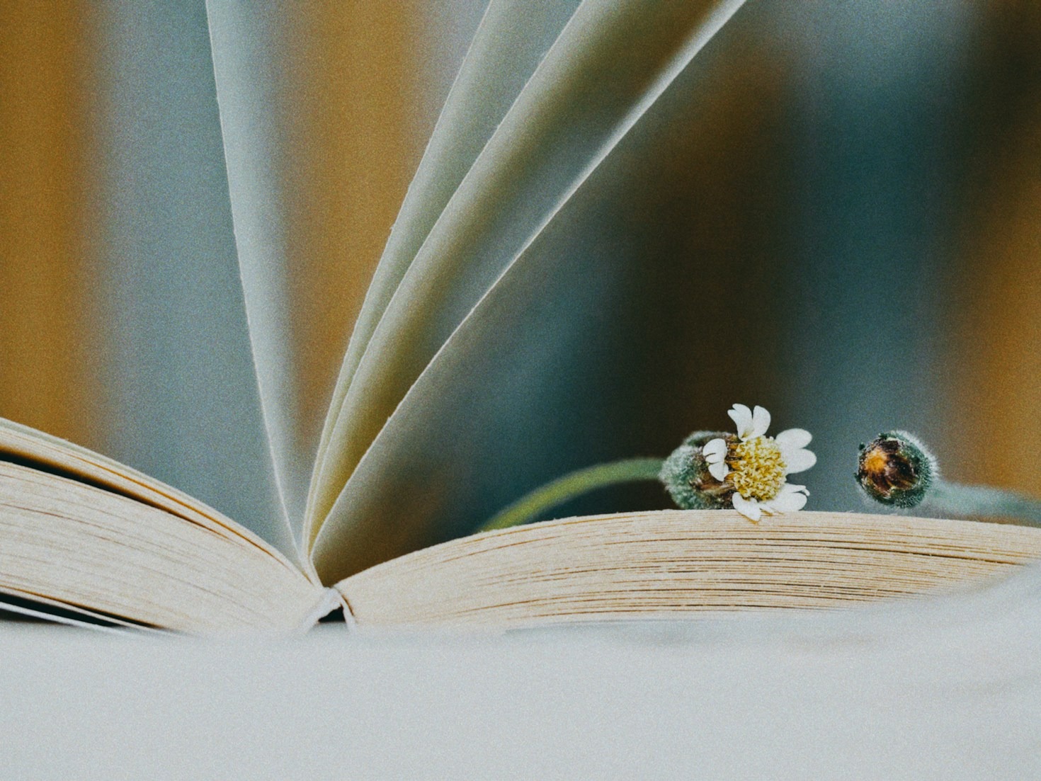 Why Educational Narratives Build Stronger Life Skills